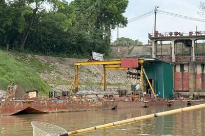Bài 3: Kích điện không chỉ giết cá