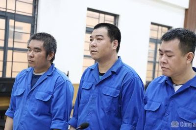 3 đối tượng cướp hơn 54 tấn cá tra, lĩnh án 34 năm tù