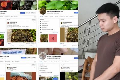 Khởi tố lang băm 'thổi phồng' nông sản, bán hàng sai sự thật