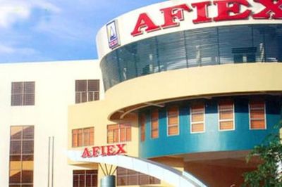 Nông sản Thực phẩm An Giang (AFX) sắp chia cổ tức tỷ lệ 30%, lợi nhuận bán niên tăng vọt