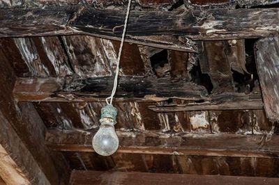 Phát hiện hài cốt trẻ sơ sinh dưới sàn căn hộ cổ tại Anh, có 1 chi tiết khiến cuộc điều tra trở nên ám ảnh