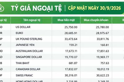 Tỷ giá ngoại tệ ngày 30/9: USD giữ mốc 26.160 đồng, SGD vượt 20.600 đồng