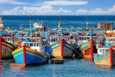 Bộ Tư lệnh Vùng Cảnh sát biển 3: Kiến nghị siết chặt quản lý tàu cá, quyết liệt chống khai thác IUU