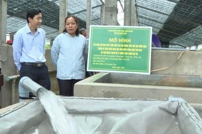 Nuôi cá chình tuần hoàn - Hướng phát triển mới cho thủy sản nước ngọt tại Huế