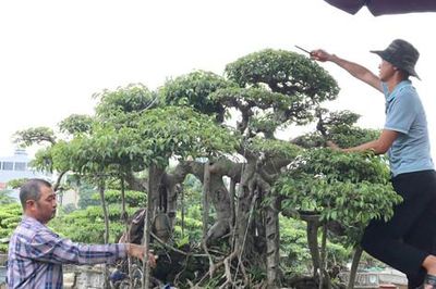 Hội Nông dân xã Thiên Lộc tiếp sức cho hội viên làm giàu trên quê hương