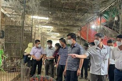 Siết an toàn thực phẩm từ chợ đầu mối