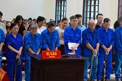 Sai phạm nghiêm trọng tại Công ty Đồ hộp Hạ Long, hàng loạt bị cáo hầu tòa