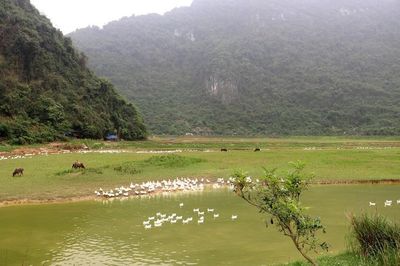 Tìm 'Điểm đến du lịch nông thôn Việt Nam tốt nhất' năm 2026