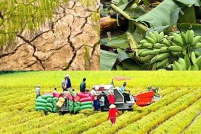 Chính sách mới có hiệu lực từ tháng 10/2026