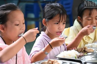 Nghệ An không để xảy ra tình trạng cắt xén khẩu phần của học sinh