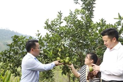 Thanh Hóa đổi thay diện mạo vùng khó khăn nhờ giảm nghèo bền vững