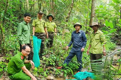 Gia Lai: 31 cá thể động vật quý hiếm trở về rừng sau hành trình cứu hộ