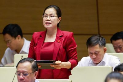 Giám đốc Sở Tư pháp TP.HCM: Phải tạo điều kiện để luật sư công làm tốt 'hai vai'