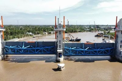 Cần Thơ sắp có 'lá chắn' kiểm soát nguồn nước dọc sông Hậu