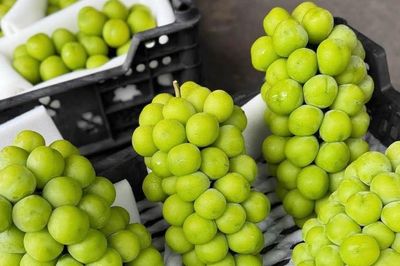 Quả nho rất tốt cho tim mạch nhưng 2 nhóm người cần hạn chế ăn