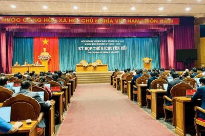 Gia Lai thông qua 20 nghị quyết, đẩy mạnh đầu tư công và chuyển đổi số