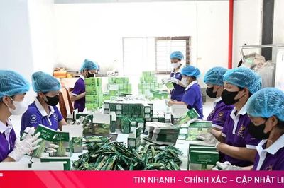 Mở rộng không gian cho đổi mới sáng tạo tại Hà Tĩnh
