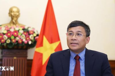 Thứ trưởng Bộ Ngoại giao: Triển khai ba tầng phối hợp để tổ chức Năm APEC 2027