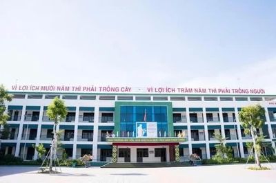 Quảng Ninh: Xử lý nghiêm vụ việc giáo viên tiểu học có hành vi không chuẩn mực