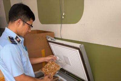 Hà Nội xử lý 173 vụ vi phạm trong dịp Tết Trung thu 2026