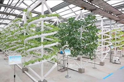 Thúc đẩy hợp tác nông nghiệp giữa các địa phương Việt Nam - Hắc Long Giang (Trung Quốc)