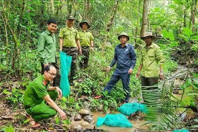 Đưa 31 cá thể động vật rừng quý, hiếm trở lại môi trường tự nhiên
