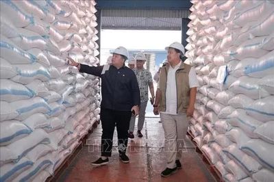 Giá gạo Indonesia dự kiến duy trì cao đến năm 2027