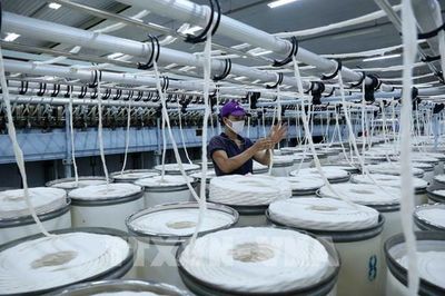 Vinatex lợi nhuận 9 tháng tăng hơn 40%