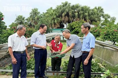 Chủ động chăm sóc, phát huy vai trò người cao tuổi trong xu hướng già hóa dân số