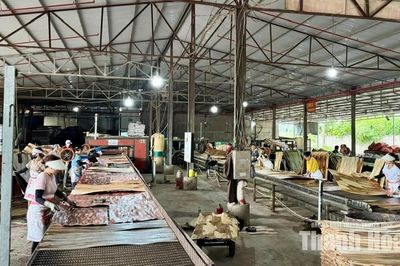 Giải pháp nào xử lý triệt để tình trạng chậm đóng, trốn đóng BHXH, BHYT?
