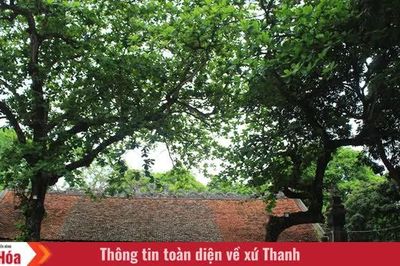 Dấu xưa trên đất Hạc Thành