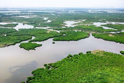 Kinh nghiệm xây dựng, thu hút đầu tư vào các dự án carbon xanh dương