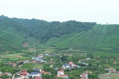 Bắc Ninh: Nắng nóng gay gắt, cảnh báo nguy cơ cháy rừng cấp nguy hiểm tại 44 xã, phường