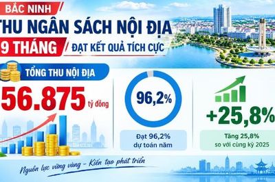 Bắc Ninh: Thu nội địa 9 tháng đạt 96,2% dự toán năm