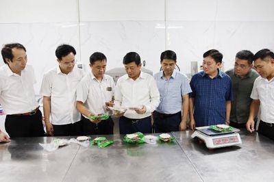 Phó Chủ tịch UBND thành phố Ngô Tân Phượng kiểm tra tình hình phát triển kinh tế tập thể trên địa bàn