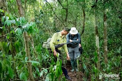 Sản phẩm du lịch ‘Katien Ranger Patrol’ tại Vườn quốc gia Cát Tiên vào vòng chung kết Giải thưởng Dự án Du lịch xuất sắc nhất thế giới