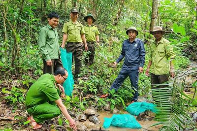 Thả 31 cá thể động vật quý, hiếm về môi trường tự nhiên