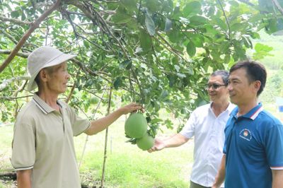 Kỷ niệm Ngày Quốc tế Người cao tuổi 1-10: ​​​​​​​Chung tay chăm sóc, phát huy vai trò người cao tuổi