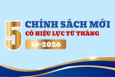 5 chính sách mới có hiệu lực từ tháng 10-2026