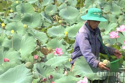 Vươn lên nhờ mô hình kết hợp