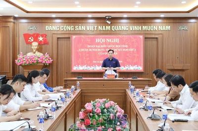 Họp Đoàn Đại biểu Quốc hội tỉnh trước Kỳ họp thứ 2, Quốc hội khóa XVI
