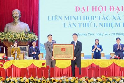 Kinh tế tập thể Hưng Yên đẩy mạnh chuyển đổi số và liên kết thị trường