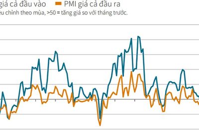 PMI giảm nhưng triển vọng sản xuất vẫn tích cực