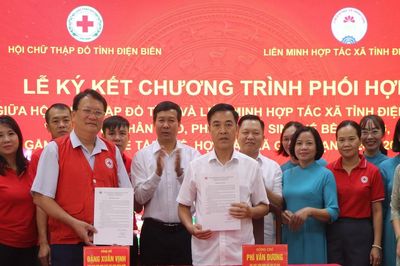 Điện Biên: Gắn hỗ trợ nhân đạo với sinh kế, mở rộng cơ hội tham gia kinh tế tập thể