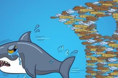 Hàng loạt quỹ ngoại tỷ USD báo lỗ, Dragon Capital và Pyn Elite Fund hụt hơi trước biến động của cổ phiếu