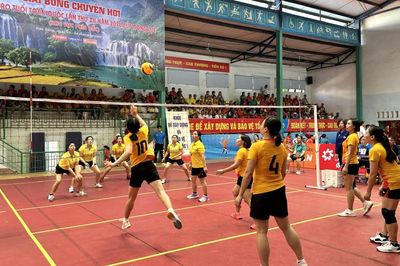 Ngày thi đấu đầu tiên Giải Bóng chuyền hơi trung cao tuổi: Các đội của Cao Bằng thắng 3 trận vòng bảng