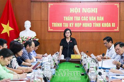 Thẩm tra 4 dự thảo nghị quyết trình HĐND tỉnh