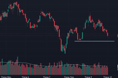 Chứng khoán chốt phiên 1/10: VN-Index mất mốc 1.750 điểm, VIC gây sức ép lớn