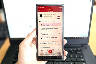 Người nộp thuế nên kiểm tra thông tin doanh nghiệp trên eTax Mobile