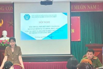 Quyết liệt thu hồi nợ bảo hiểm, bảo vệ quyền lợi người lao động